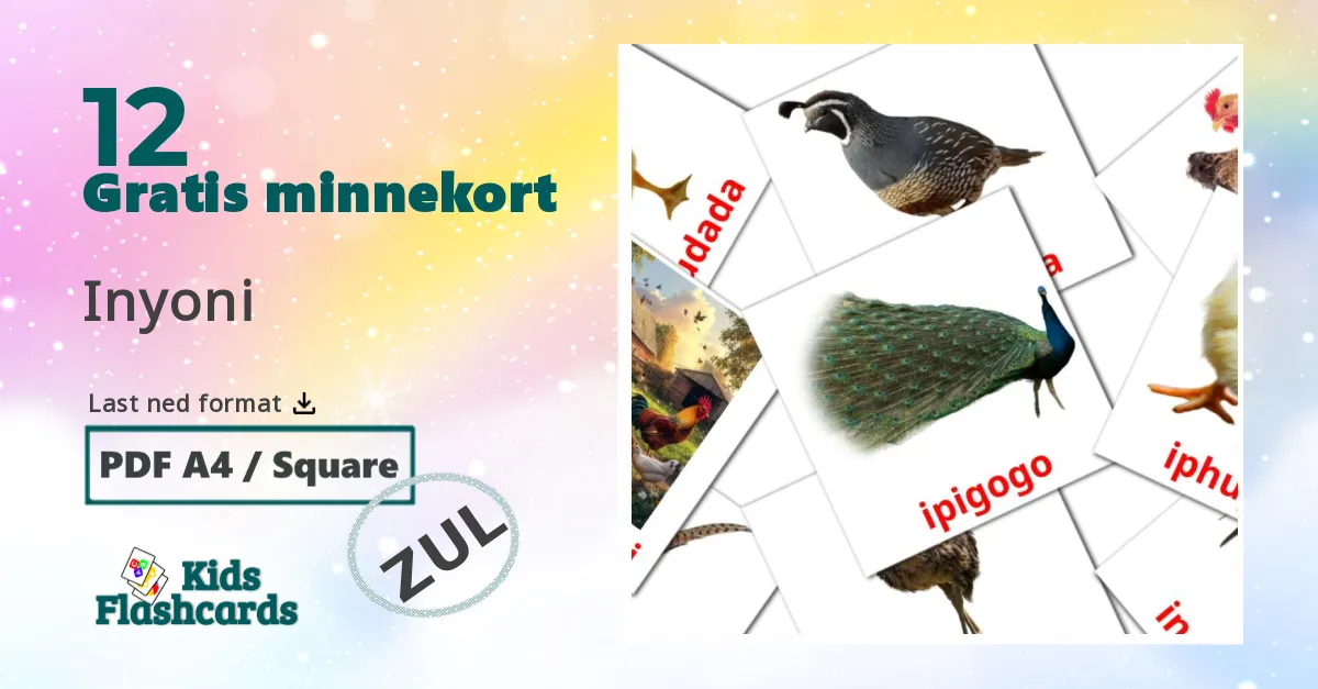 Inyoni bildekort for barn på zulu