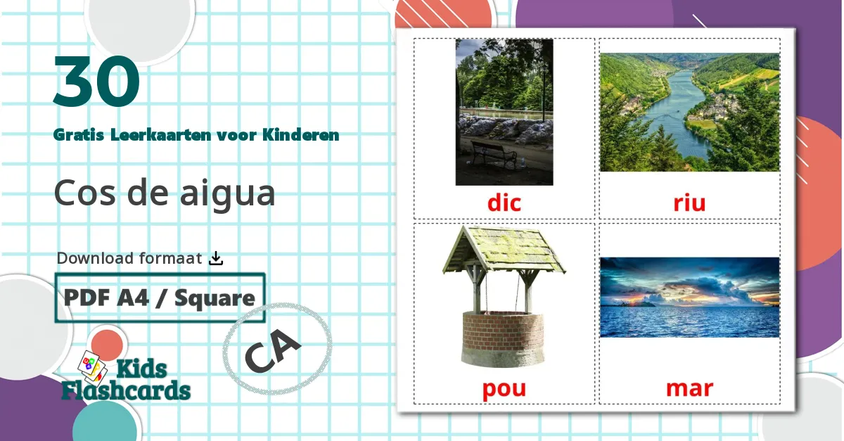 30 Flashcards de Waterlichamen