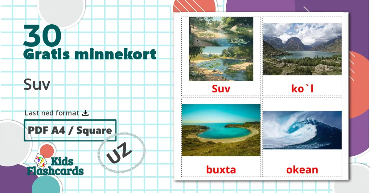 30 Suv bildekort