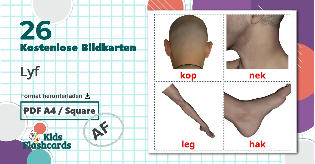 Körper - Afrikaans Vokabelkarten