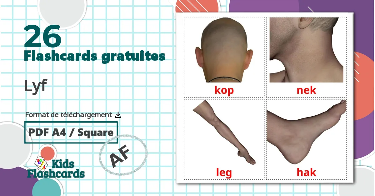 Parties du Corps Humain - cartes de vocabulaire afrikaans