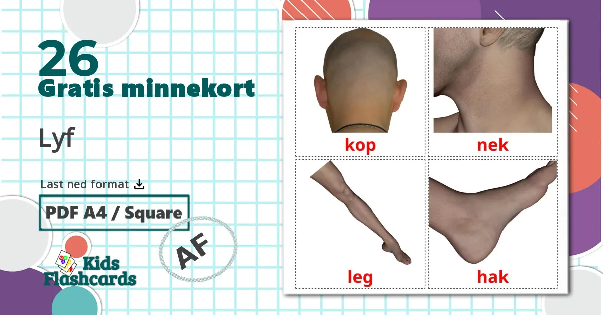 Kroppsdeler - Ordforrådskort for afrikaans