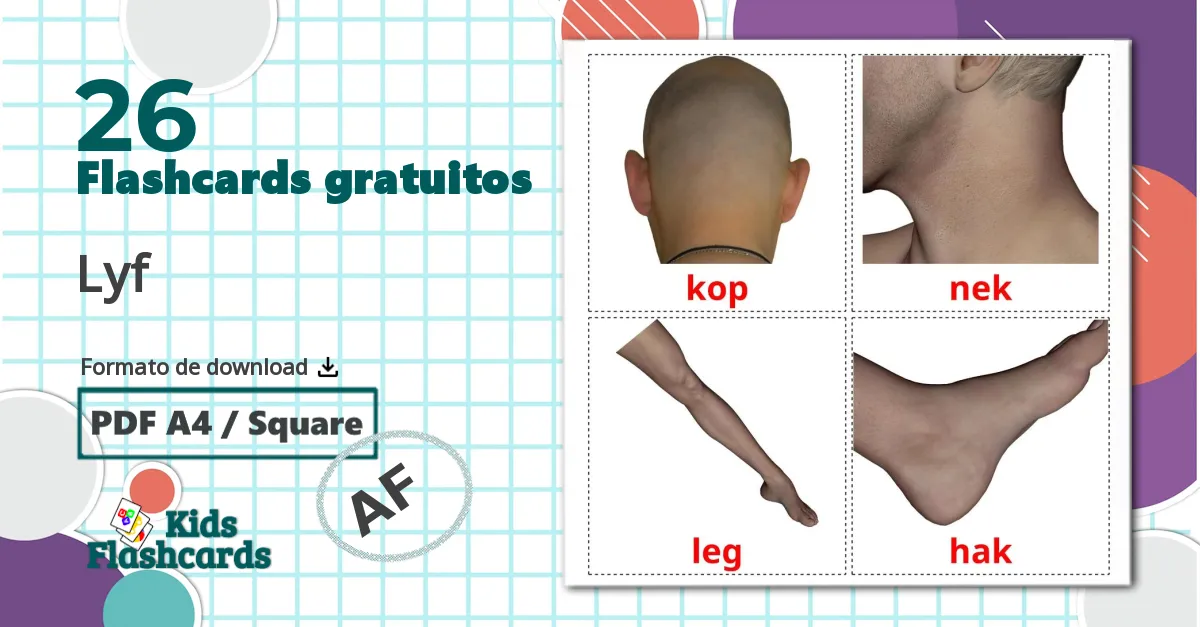 Partes do Corpo - Cartões de vocabulário afrikaans