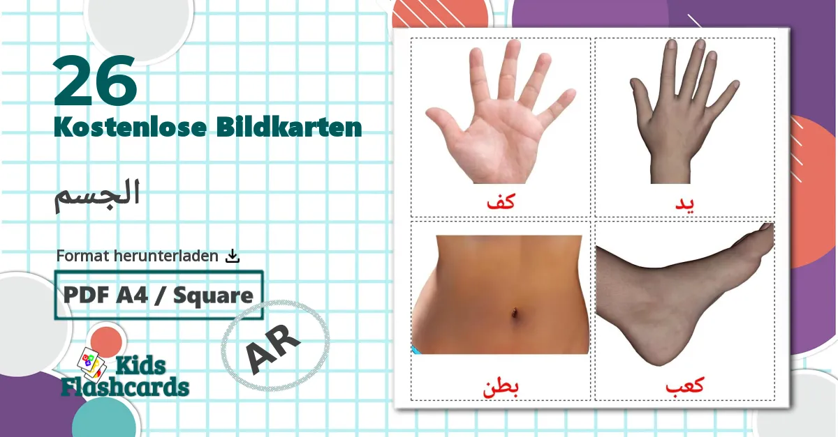 26 Bildkarten für الجسم