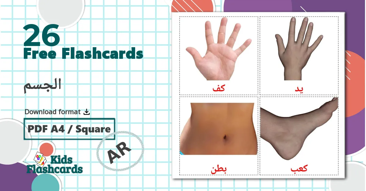 Body Parts - arabic vocabulary cards