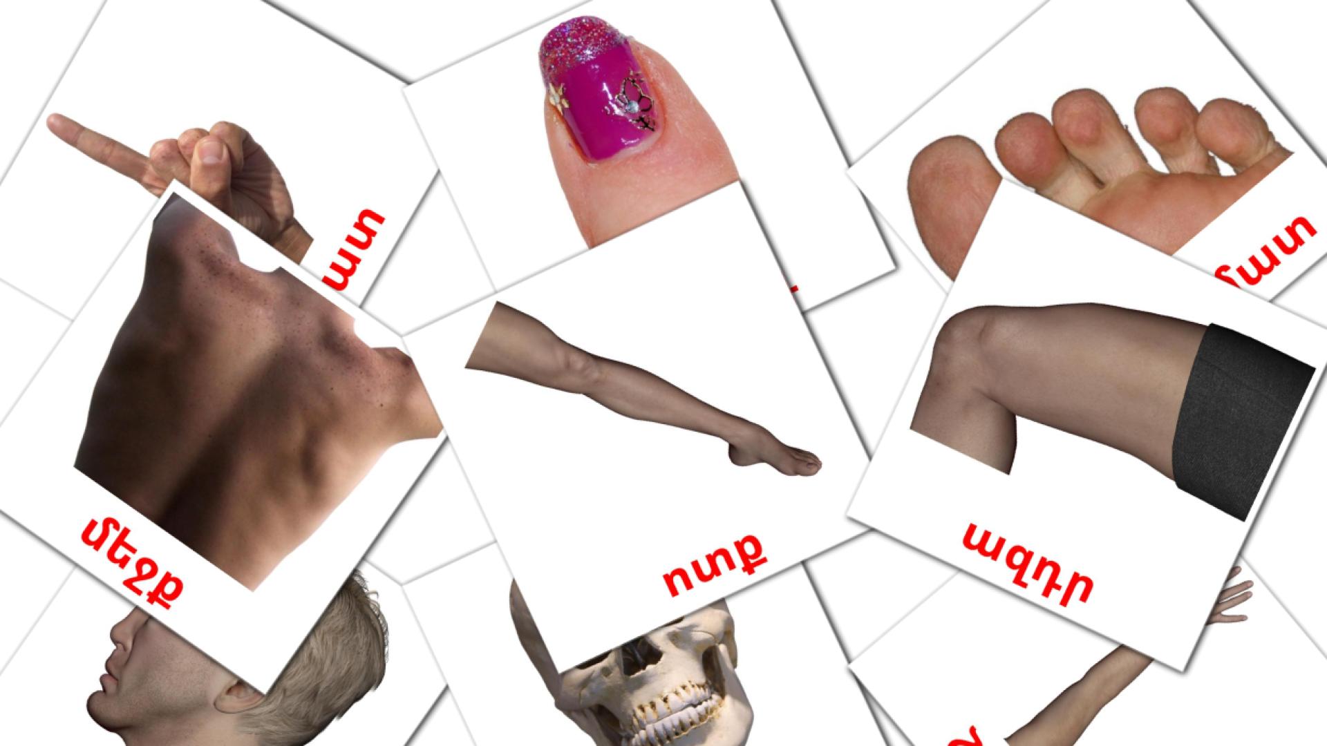 Body Parts - armenian vocabulary cards