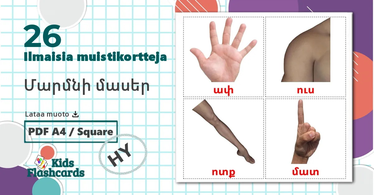 26 Մարմնի մասեր lasten kuvakortit