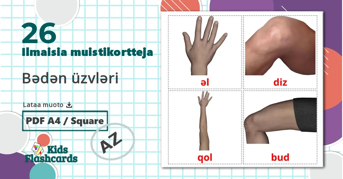26 Bədən üzvləri lasten kuvakortit