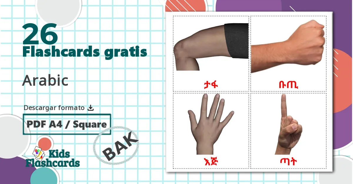26 tarjetas didacticas de Partes del Cuerpo