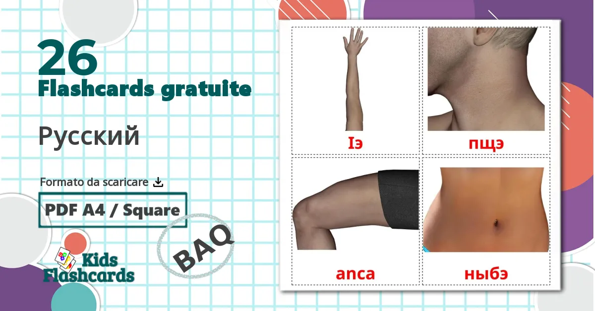 26 flashcards di Parti del corpo