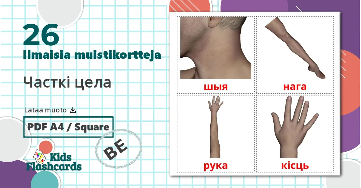26 Часткі цела lasten kuvakortit