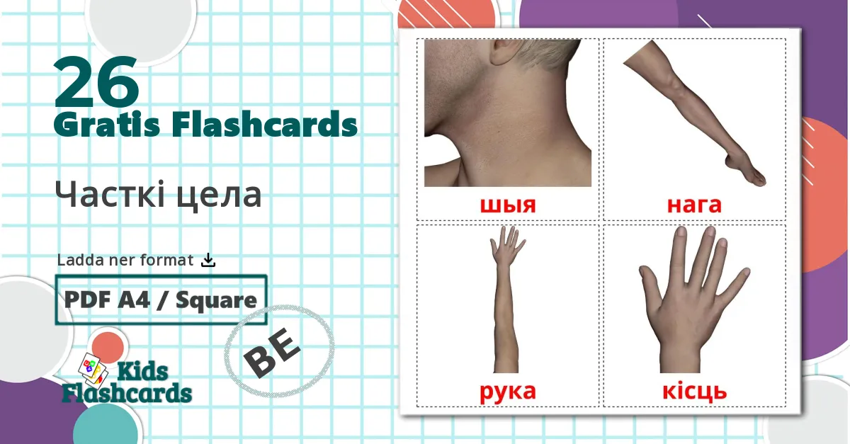 26 Часткі цела bildkort för barn