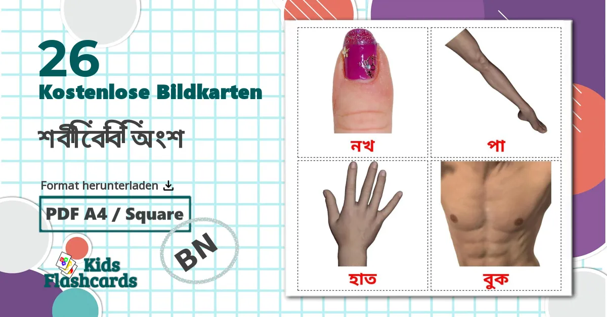 26 Bildkarten für শরীরের অংশ