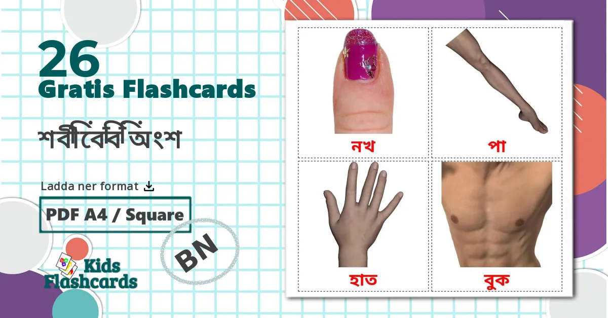 26 শরীরের অংশ bildkort för barn