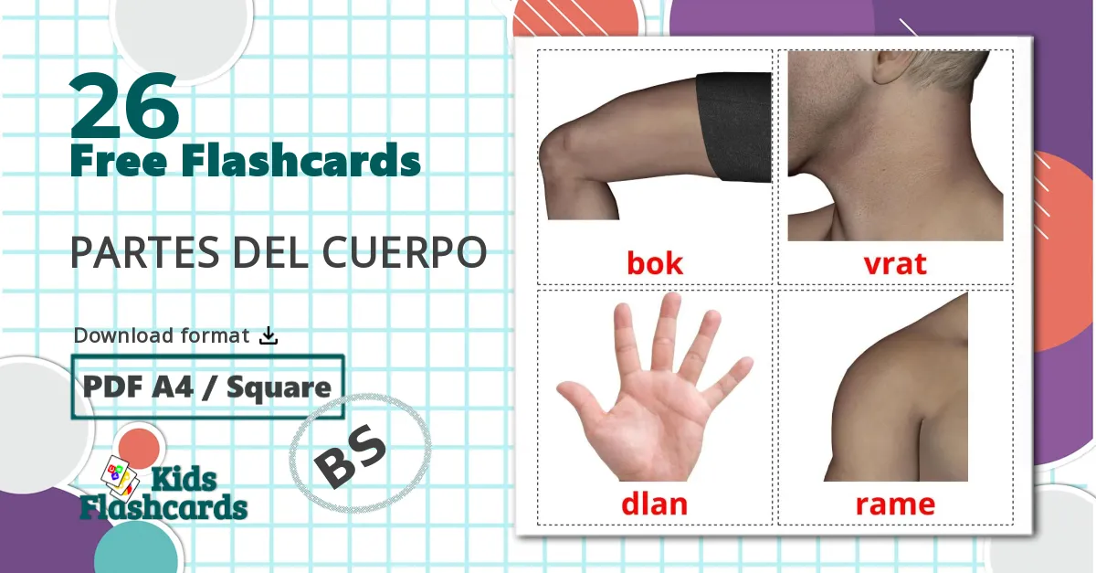 26 Body Parts flashcards