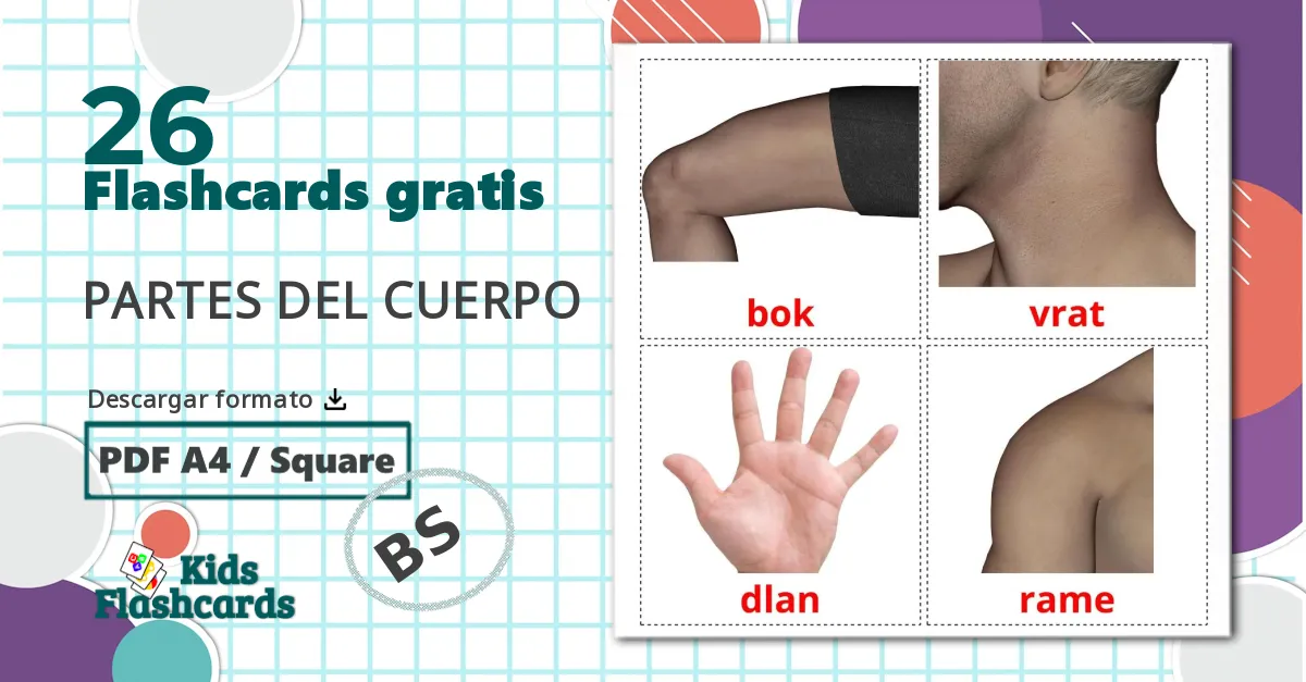 26 tarjetas didacticas de Partes del Cuerpo