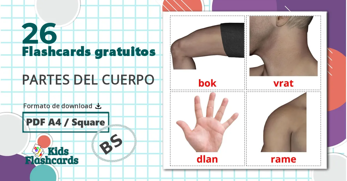 26 Flashcards de Partes do Corpo