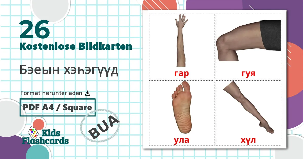 26 Bildkarten für Бэеын хэһэгүүд
