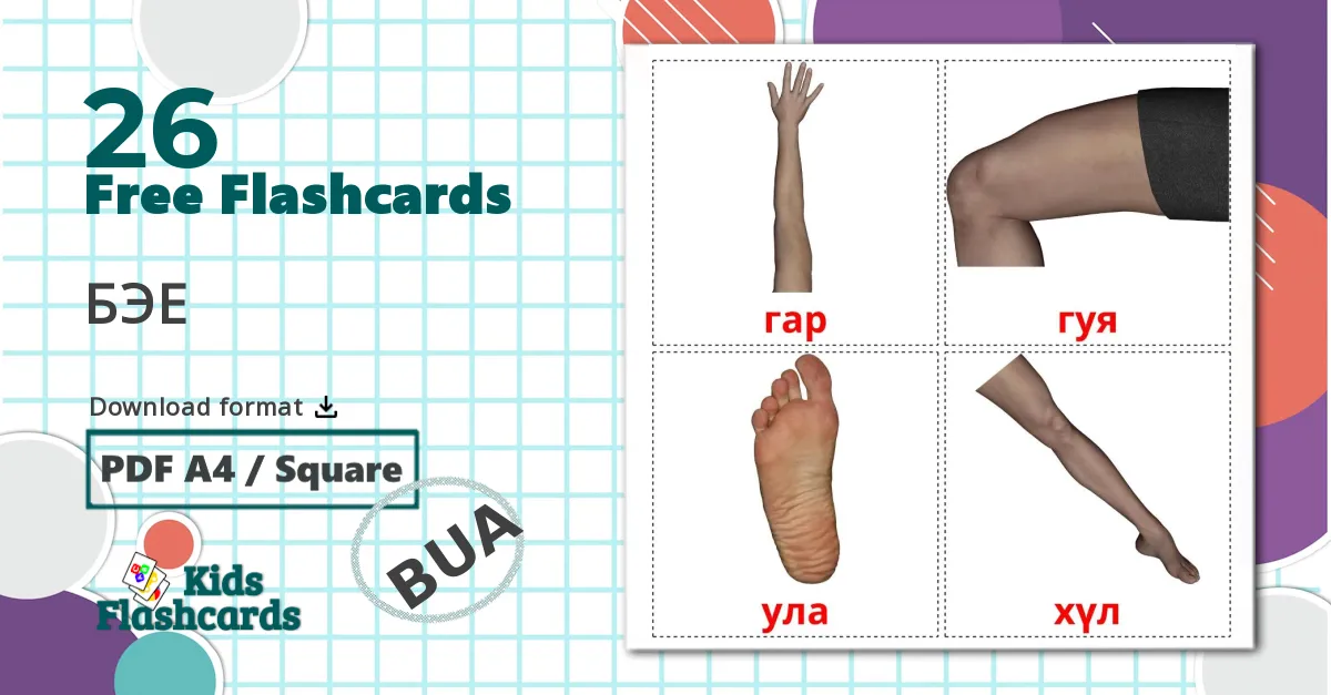 26 Body Parts flashcards