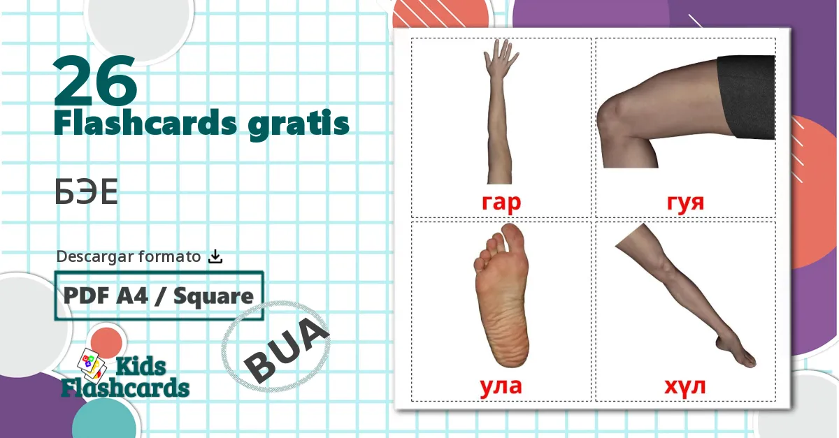 26 tarjetas didacticas de Partes del Cuerpo