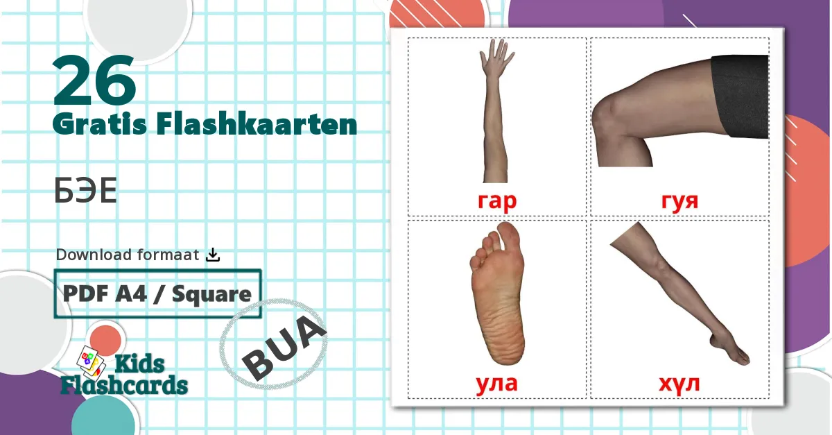 26 Lichaamsdelen Leerkaarten voor kinderen