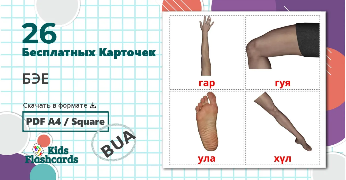26 Карточки Домана Части тела