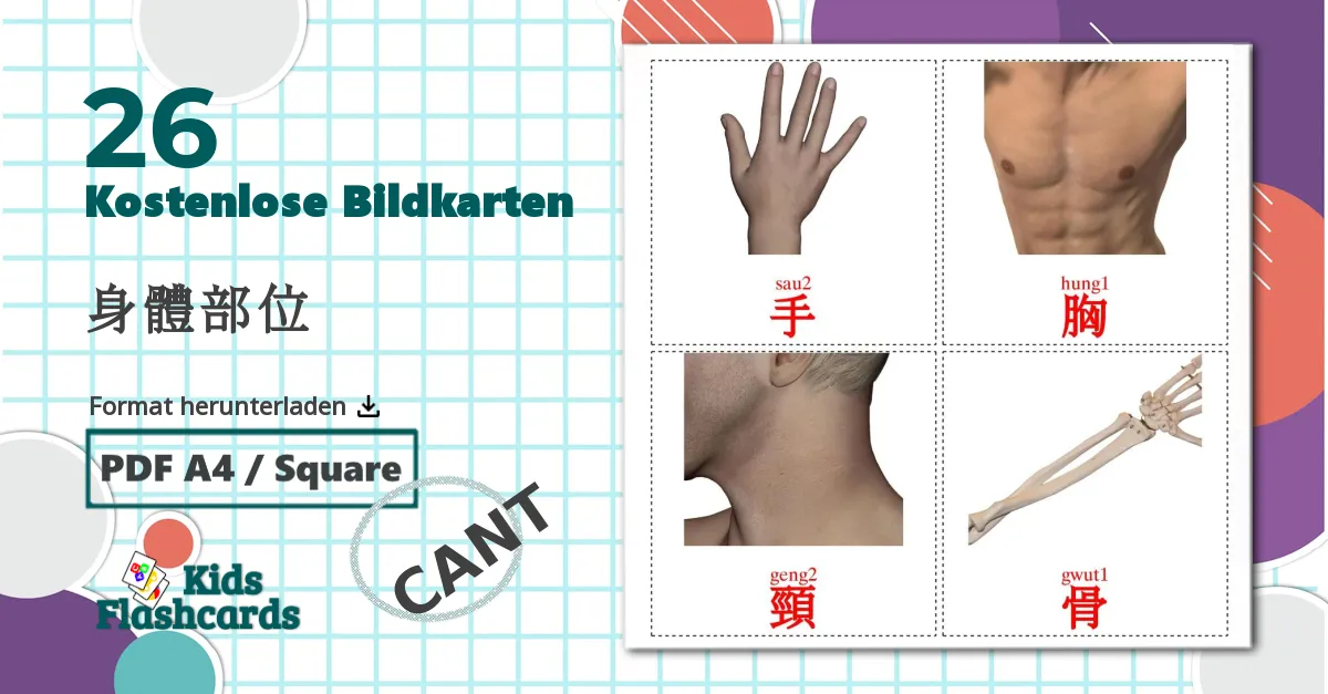 26 Bildkarten für 身體部位