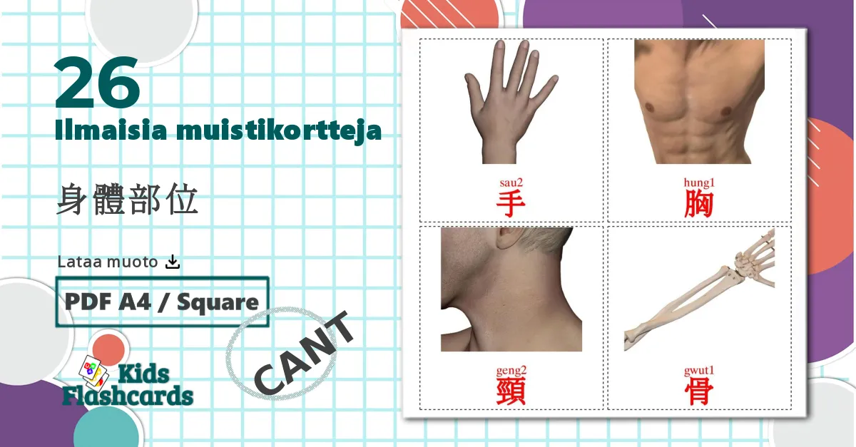 26 身體部位 lasten kuvakortit