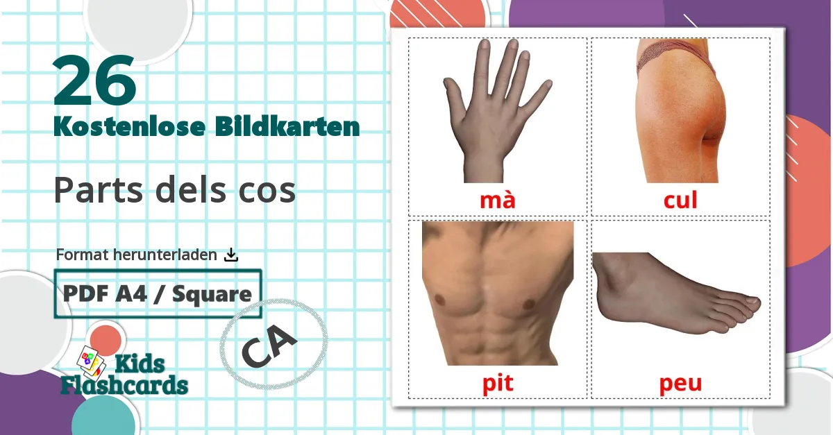 26 Bildkarten für Parts dels cos