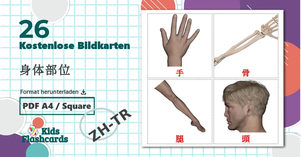 26 Bildkarten für 身体部位