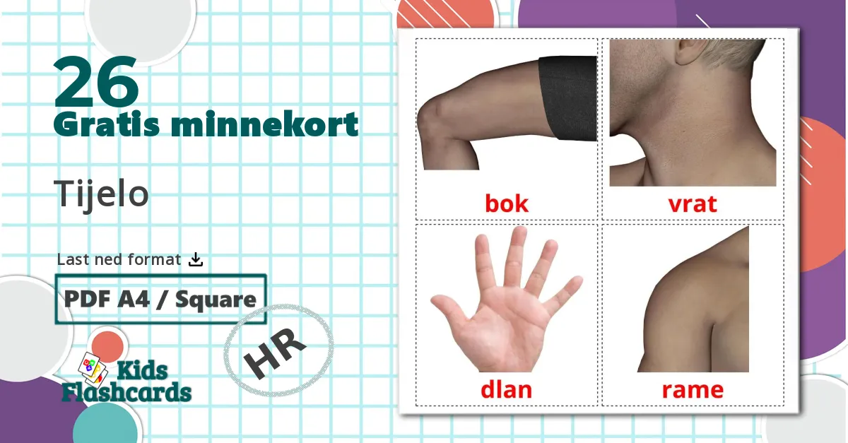 26 Tijelo bildekort