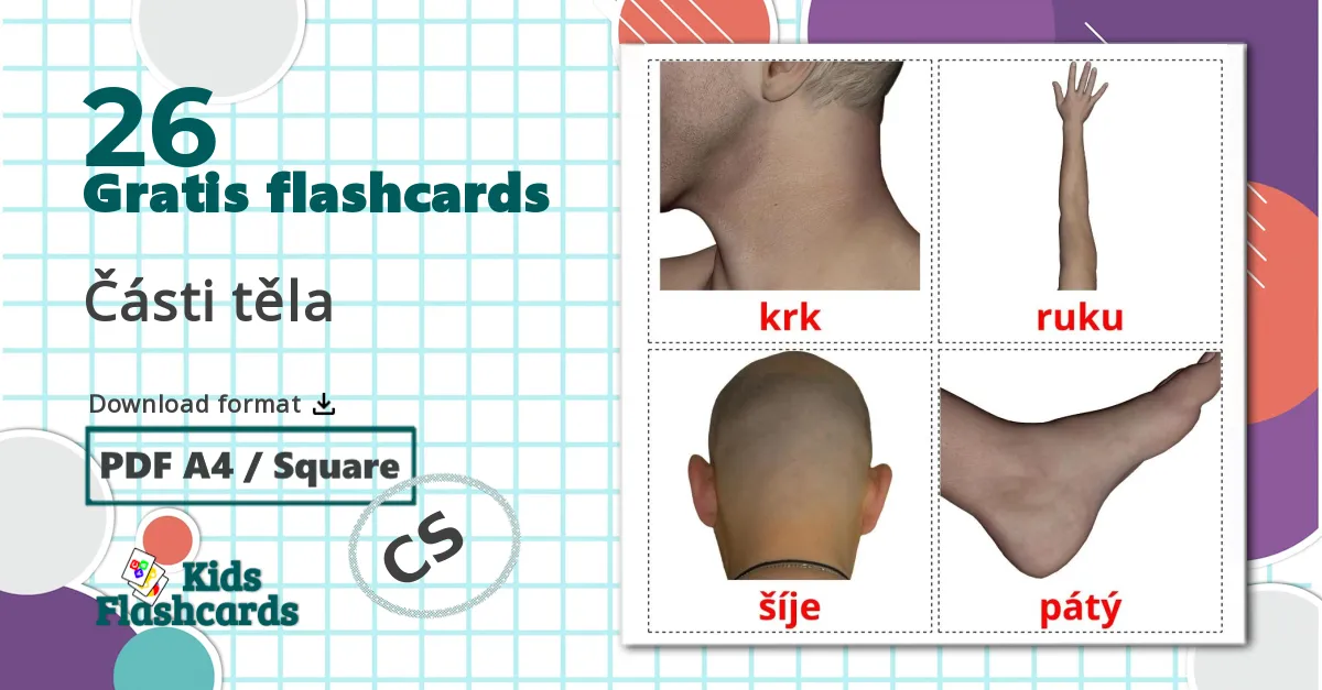 26 Části těla billedkort for børn
