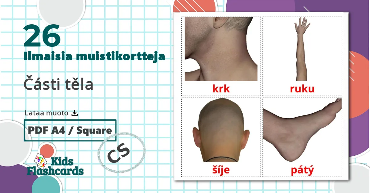 26 Části těla lasten kuvakortit