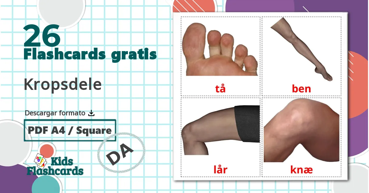 26 tarjetas didacticas de Partes del Cuerpo