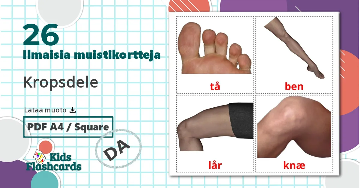 26 Kropsdele lasten kuvakortit