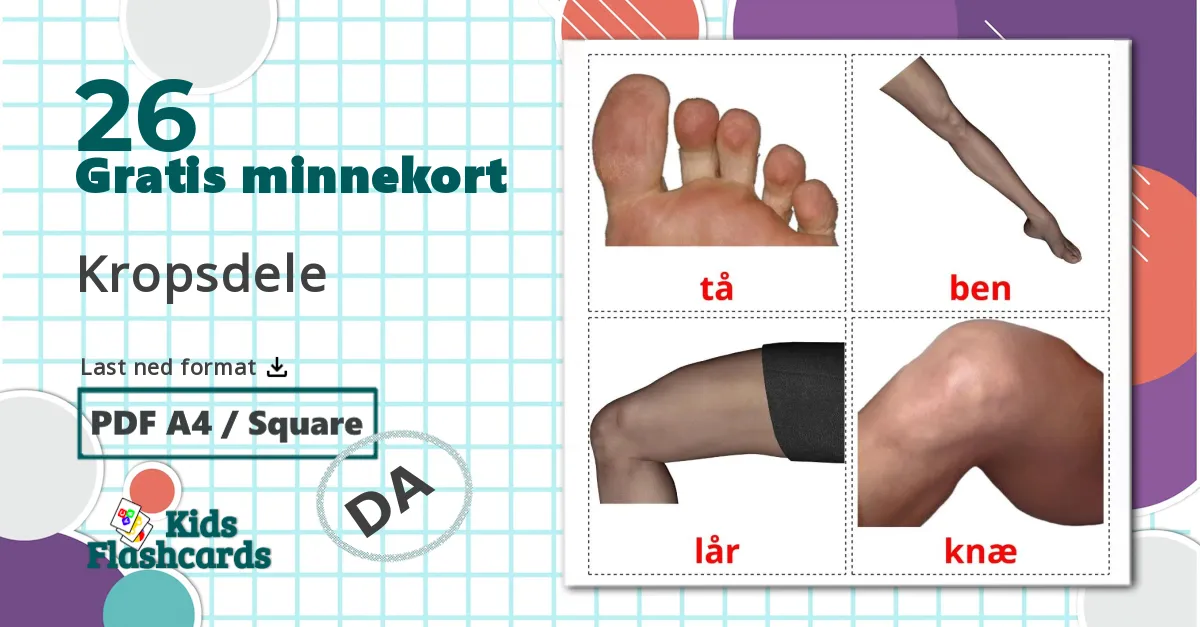 26 Kropsdele bildekort