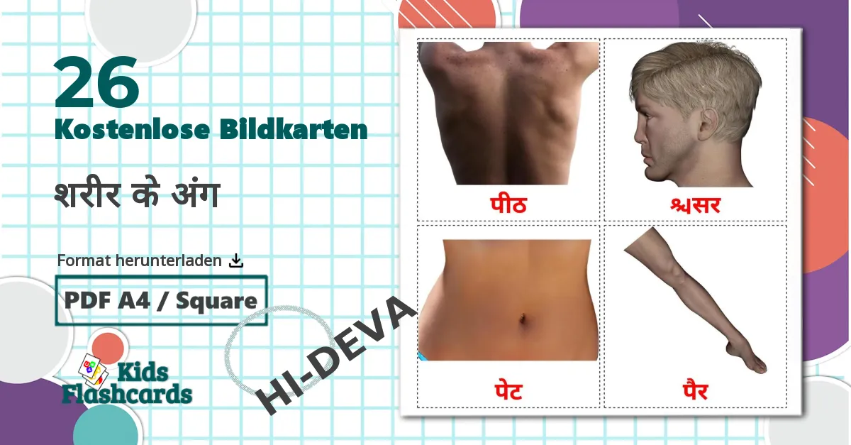 26 Bildkarten für शरीर के अंग