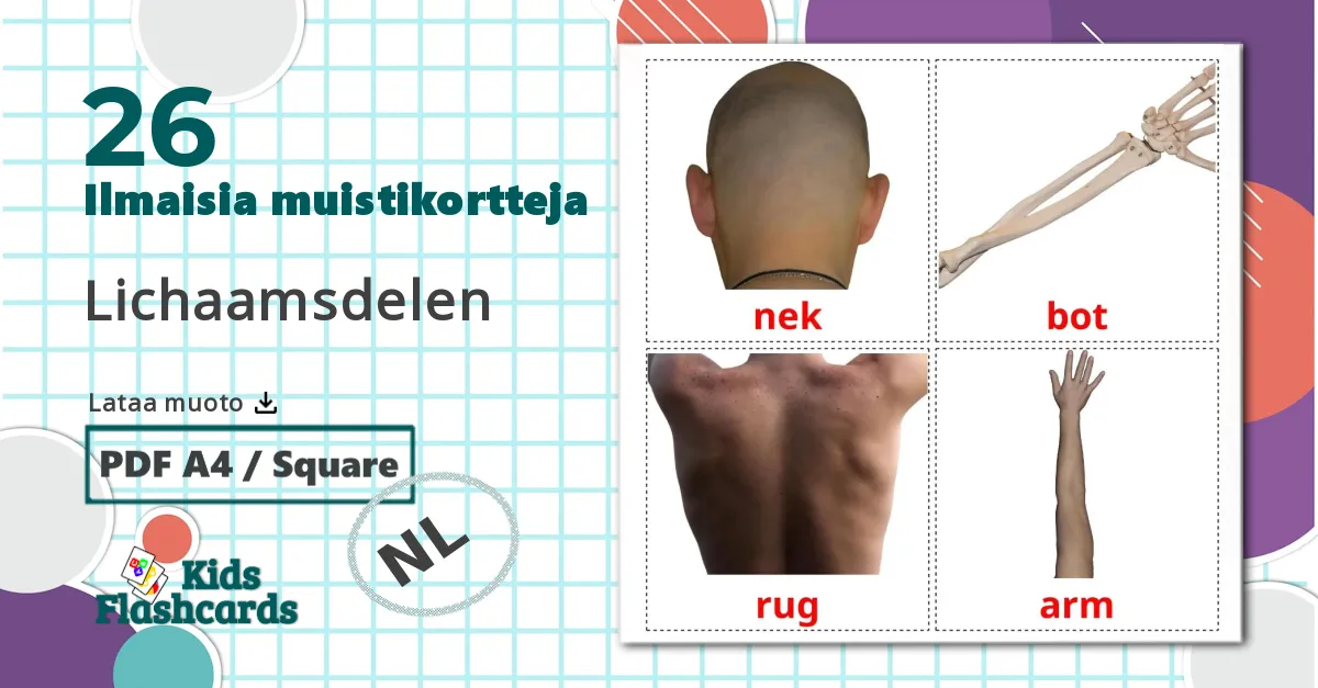 26 Lichaamsdelen lasten kuvakortit