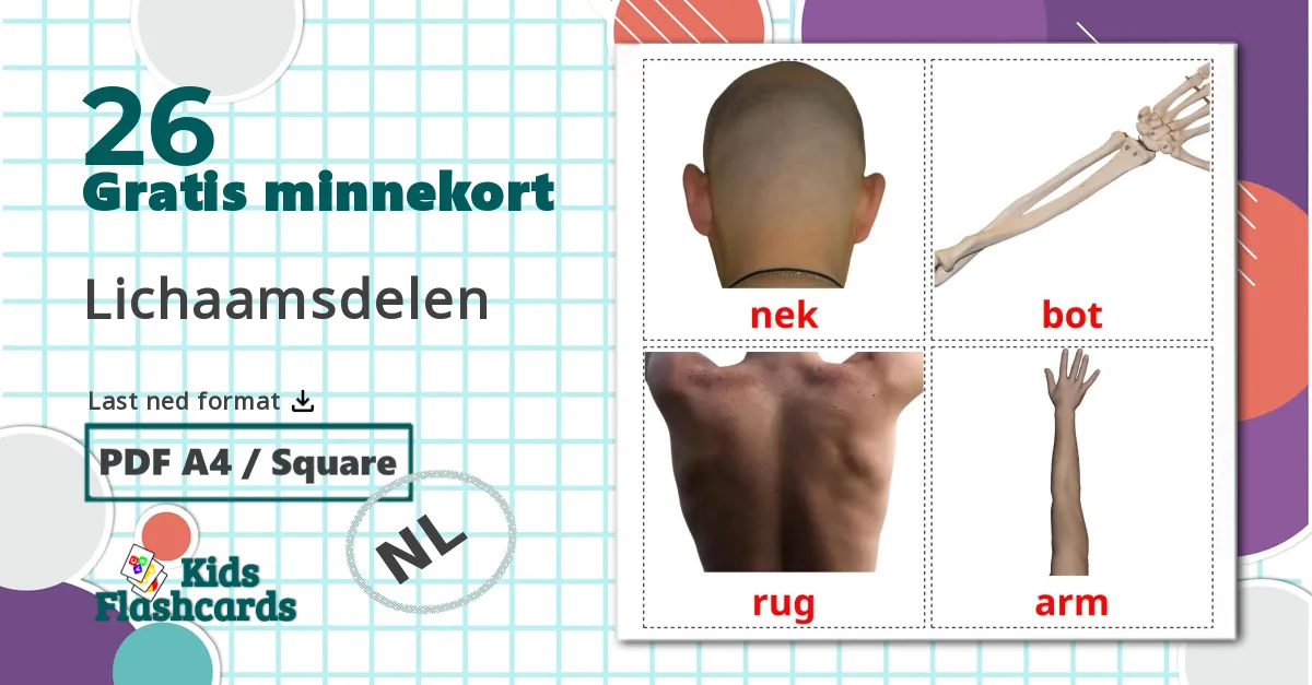 26 Lichaamsdelen bildekort