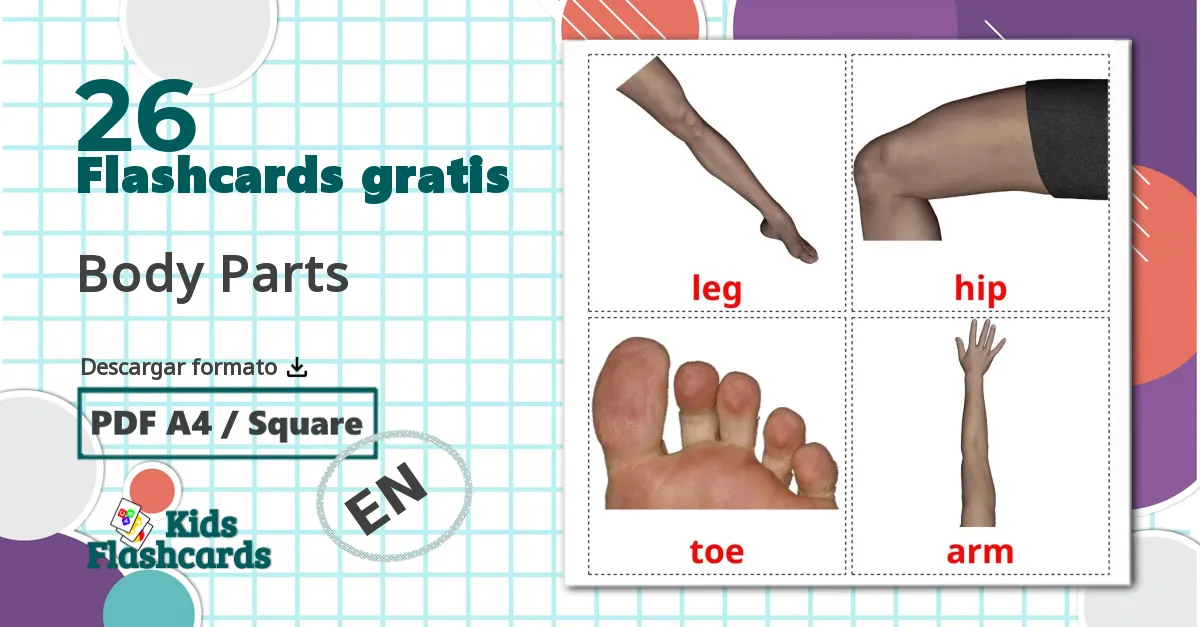 26 tarjetas didacticas de Body Parts