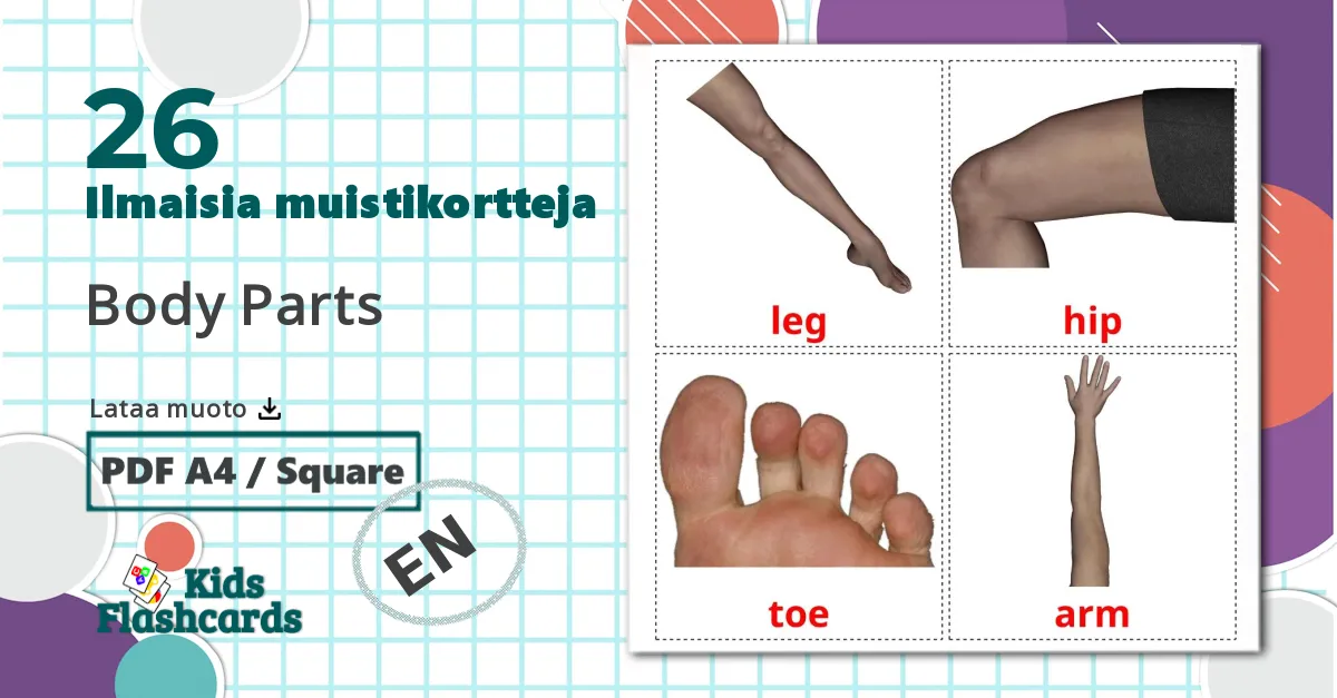 26 Body Parts lasten kuvakortit