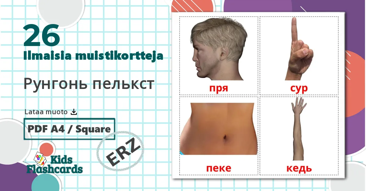 26 Рунгонь пелькст lasten kuvakortit