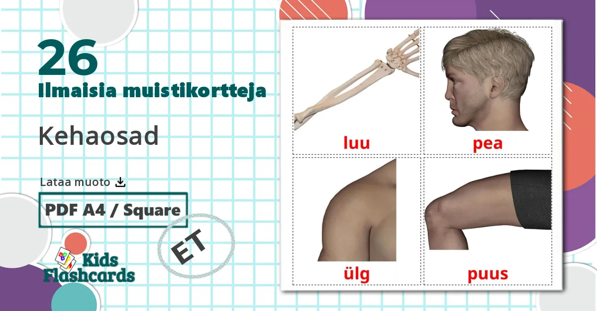 26 Kehaosad lasten kuvakortit