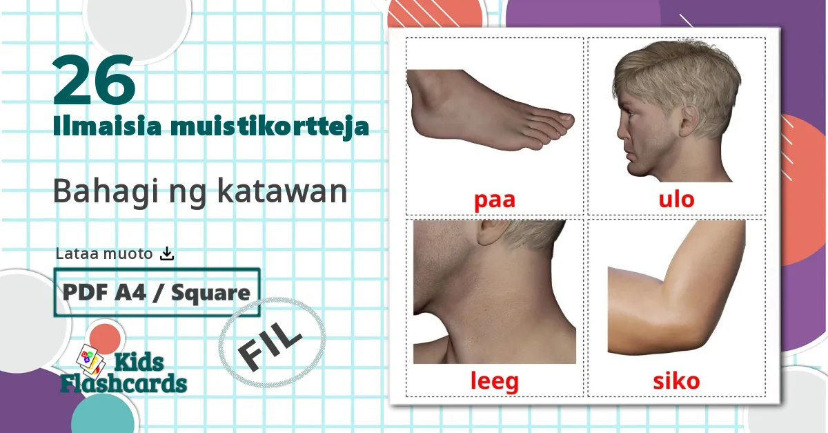 26 Bahagi ng katawan lasten kuvakortit