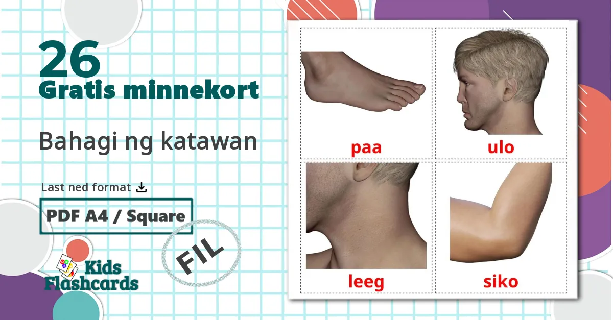 26 Bahagi ng katawan bildekort
