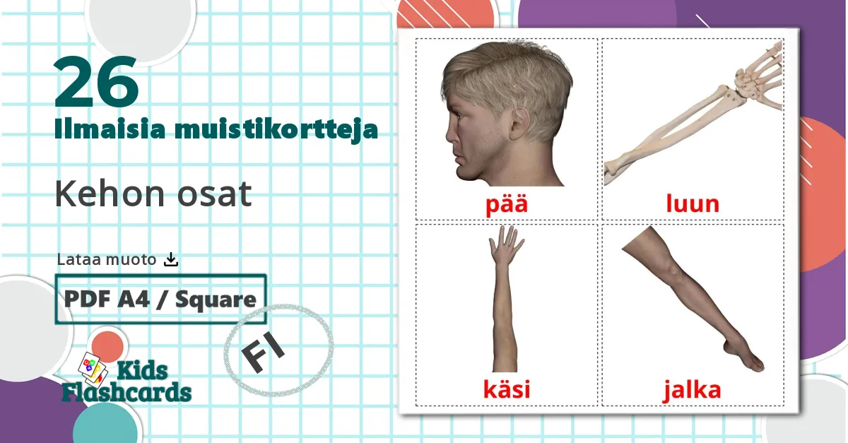 26 Kehon osat lasten kuvakortit