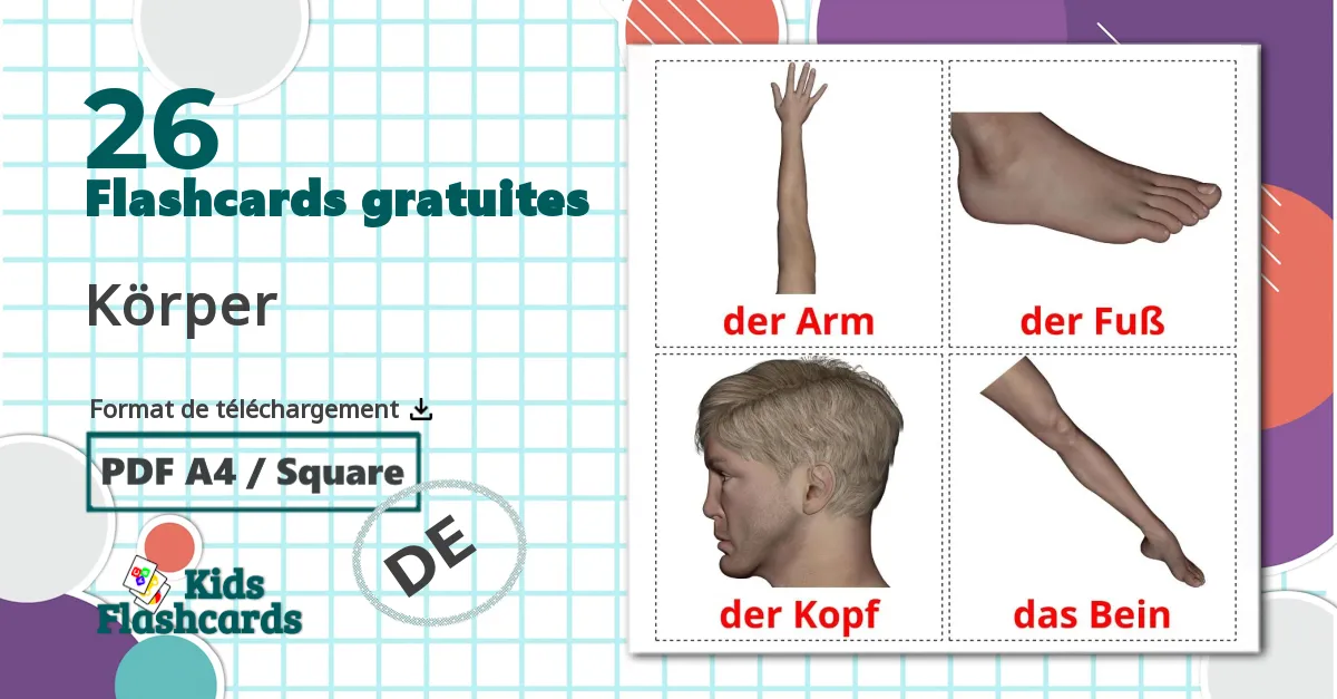 Parties du Corps Humain - cartes de vocabulaire allemand