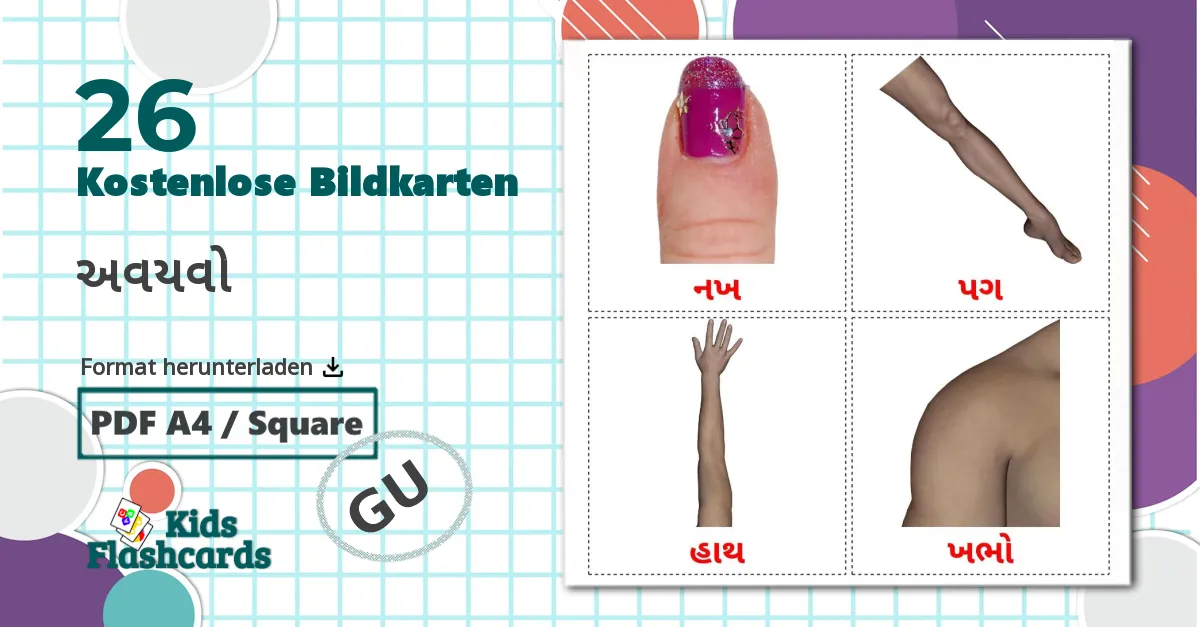 26 Bildkarten für અવયવો