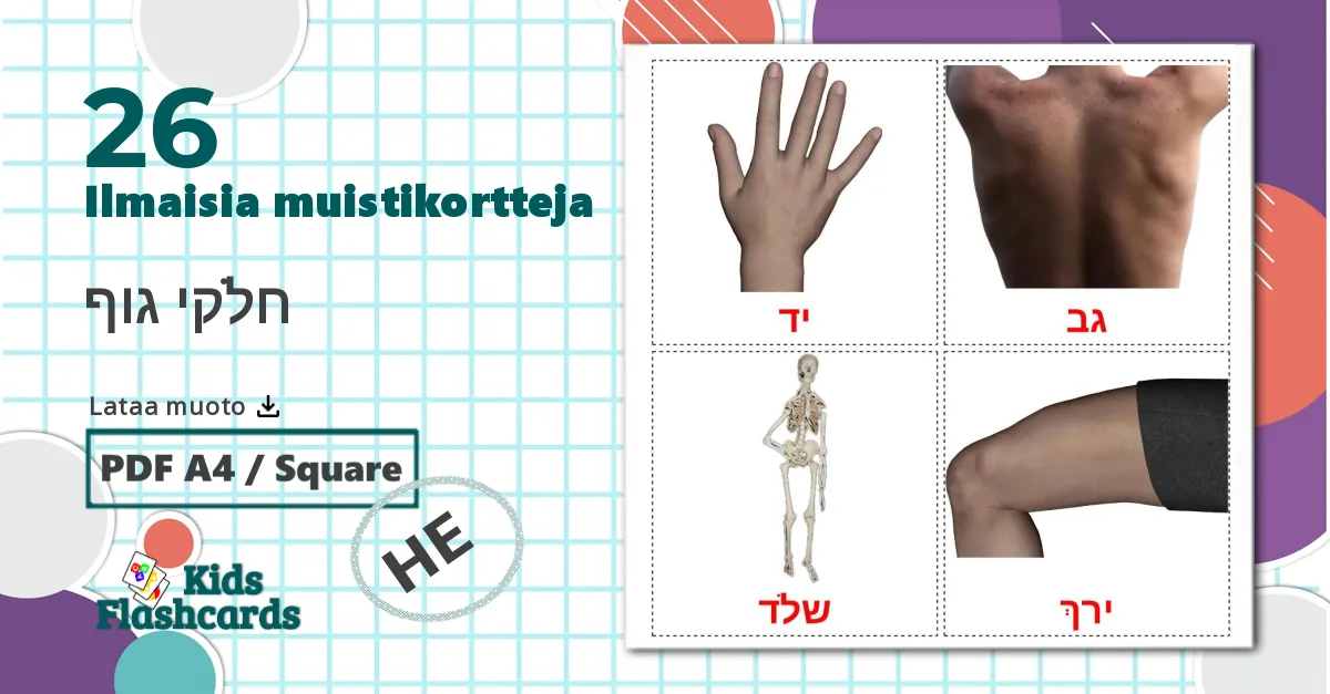 26 חלקי גוף lasten kuvakortit