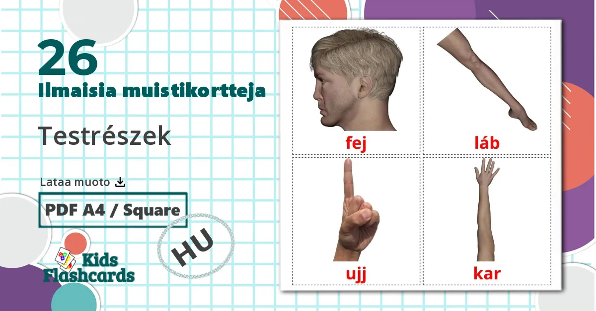 26 Testrészek lasten kuvakortit